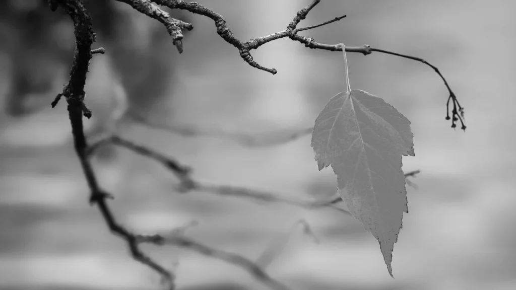 Jak prawidłowo spisać testament z notariuszem