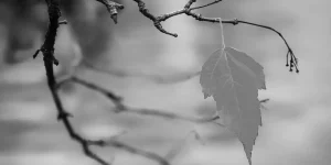 Jak prawidłowo spisać testament z notariuszem